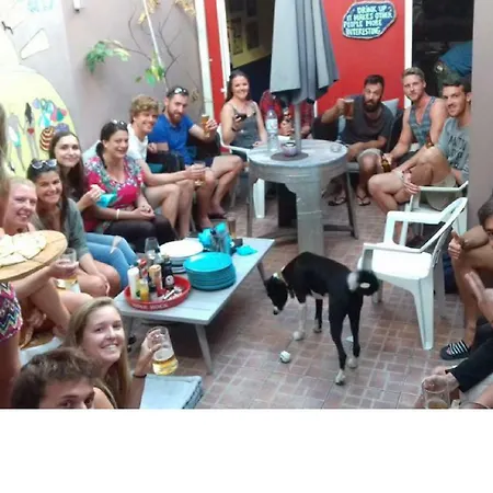 The Paintshop * Фигейра-да-Фош